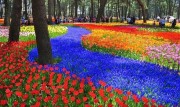 Hitachi Park: Το πολύχρωμο πάρκο της Ιαπωνίας, που τρελαίνει τους τουρίστες, επειδή αλλάζει όψη ανάλογα με την εποχή! (εικόνες)