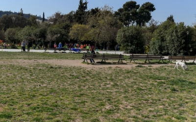 Νεαροί ξυλοκόπησαν μέχρι λιποθυμίας 14χρονους στο Αιγάλεω -Τους πήραν κινητά και παπούτσια