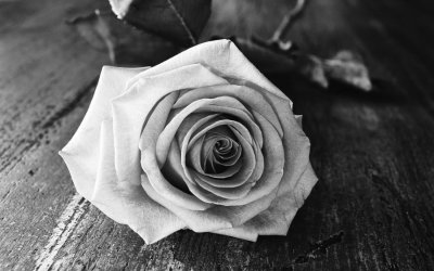 Ευχαριστήριο μήνυμα της οικογένειας του Νίκου Μελισσαράτου