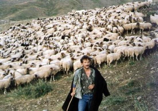 Διαμαρτυρία αγροκτηνοτροφων στην καταβολή εξισωτικής αποζημίωσης 2012
