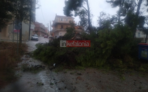 Κακοκαιρία &quot;Ιανός&quot;: 750 κλήσεις για βοήθεια σε Κεφαλονιά, Ιθάκη, Ζάκυνθο και Λευκάδα - 93 διασώσεις, 308 αντλήσεις, 198 κοπές δέντρων