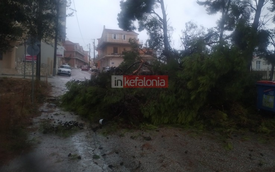 Κακοκαιρία &quot;Ιανός&quot;:  750 κλήσεις για βοήθεια σε Κεφαλονιά, Ιθάκη, Ζάκυνθο και Λευκάδα - 93 διασώσεις, 308 αντλήσεις, 198 κοπές δέντρων