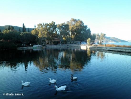 Στους μικρούς νησιωτικούς υγρότοπους από το 2012, η λίμνη Καραβομύλου Κεφαλονιάς.