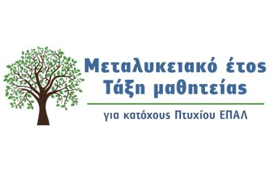Προσφορά θέσεων μαθητείας από τον ιδιωτικό τομέα για το «Μεταλυκειακό έτος – Τάξη μαθητείας»