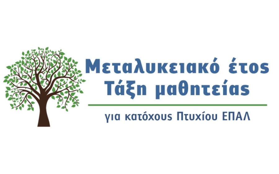 Προσφορά θέσεων μαθητείας από τον ιδιωτικό τομέα για το «Μεταλυκειακό έτος – Τάξη μαθητείας»