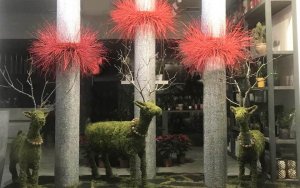 Το Benetatos Flowers καλωσορίζει τον Δεκέμβριο με μια υπέροχη βιτρίνα!