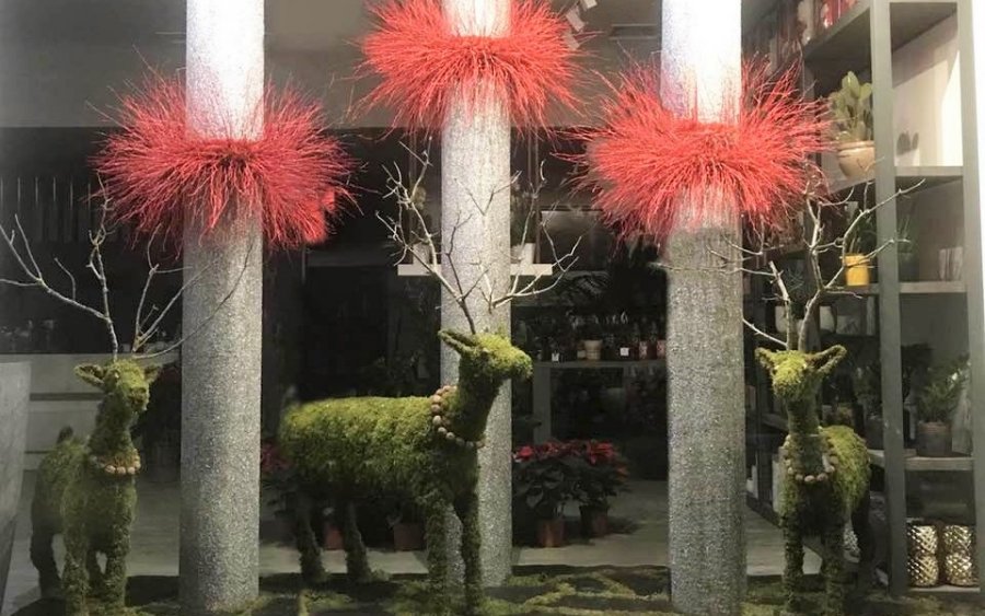 Το Benetatos Flowers καλωσορίζει τον Δεκέμβριο με μια υπέροχη βιτρίνα!