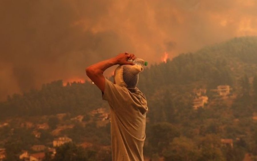 "Κεφαλονιά, Νησί για όλους": Συγκέντρωση σχολικών ειδών για τους πυρόπληκτους