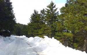 Ο Αίνος παραμένει χιονισμένος και είναι όμορφος! (Σημερινές εικόνες)