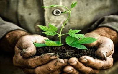 Η γιορτή των σπόρων απο το 5ο Δημοτικό Αργοστολίου