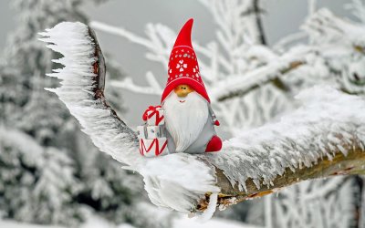 Οι εκδηλώσεις στην ΔΕ Αργοστολίου έως την Δευτέρα 29/12