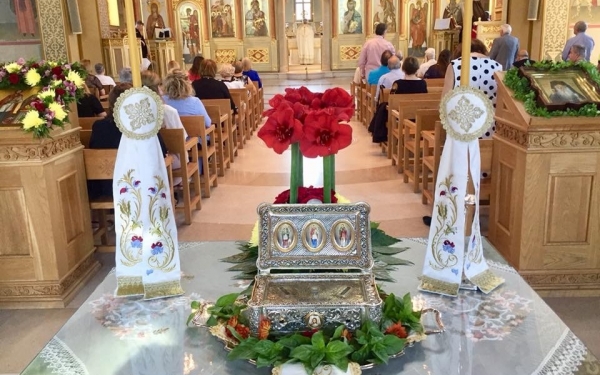 Η Αδελφότητα στην Ιερά Πανήγυριν των Αγίων &amp; Ομολογητών Φανέντων