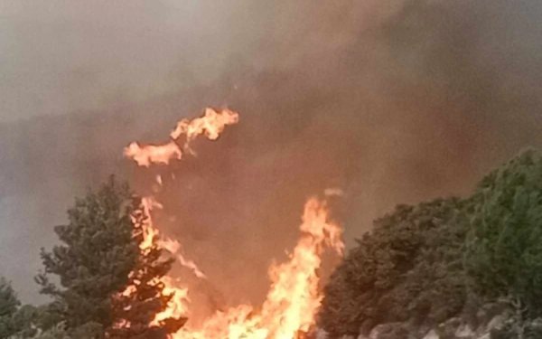 Υπό πλήρη έλεγχο η φωτιά στην Λευκάδα