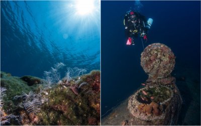 Υποβρύχιοι Θησαυροί της Κεφαλονιάς - Ιστορικά ναυάγια, Σπήλαια, Φώκιες και Χελώνες από τον Uwe Michaelis (υποβρύχιες φωτογραφίες)