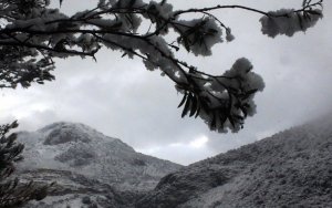 Καιρός: Χωρίς ρεύμα Σκιάθος, Σκόπελος, Αλόννησος - Προβλήματα και στον Βόλο