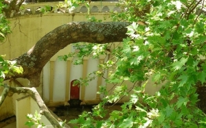 Ετήσια Εκλογοαπολογιστική Συνέλευση Π.Σ. Λουρδάτων &quot;ο Πλάτανος&quot;