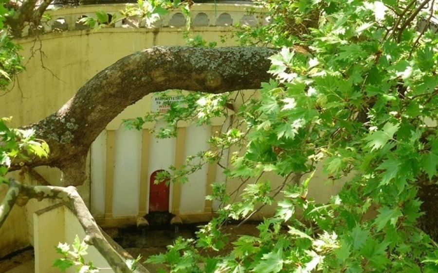Ετήσια Εκλογοαπολογιστική Συνέλευση Π.Σ. Λουρδάτων "ο Πλάτανος"