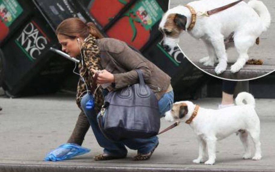Η Πριγκίπισσα της Σουηδίας μαζεύει τα περιττώματα του σκύλου της, κάτι που στην Ελλάδα αρκετοί δεν κάνουν ακόμα!
