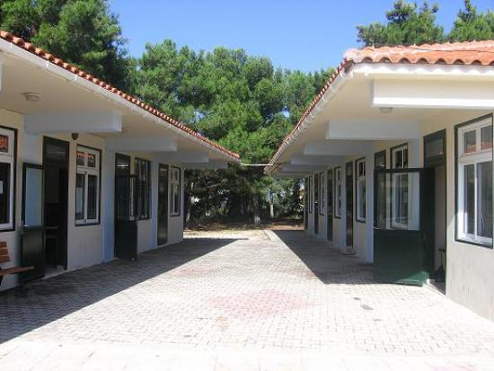 ΕΛΜΕΚΙ: Στέλνουν τους μαθητές των ΕΠΑΛ για τζάμπα εργασία στη Γερμανία