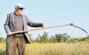 Ε.Α.Σ.: Έκτακτη επιδότηση σε συνταξιούχους Αγρότες