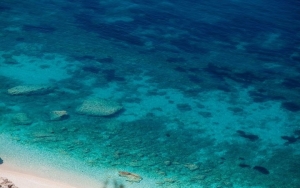 Πετανοί... Ανάσες δροσιάς!