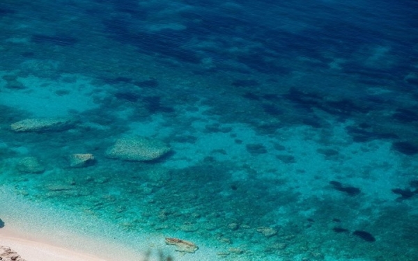 Πετανοί... Ανάσες δροσιάς!