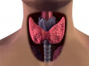 Οι τροφές που αγαπάει ο θυρεοειδής σας!