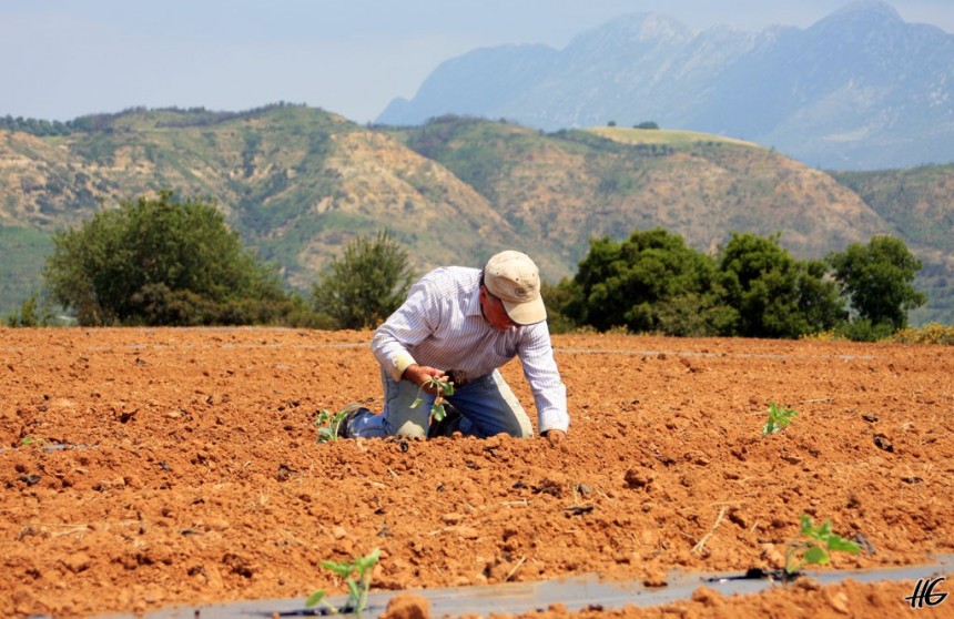 100.000 ευρώ σε όσους κάνουν μικρούς συνεταιρισμούς– Ποιοι και πώς μπορούν να πάρουν χρήματα