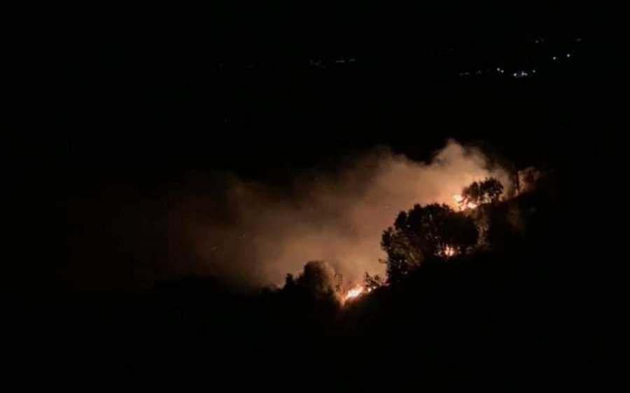 Φωτιά στα Πετρικάτα (εικόνα)