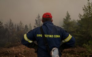 Από σήμερα η αντιπυρική περίοδος 2026: SOS για τα ακαθάριστα οικόπεδα - Τι έχει αλλάξει φέτος