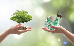 Η Διεύθυνση Δασών Κεφαλληνίας για την Παγκόσμια Ημέρα Δασοπονίας