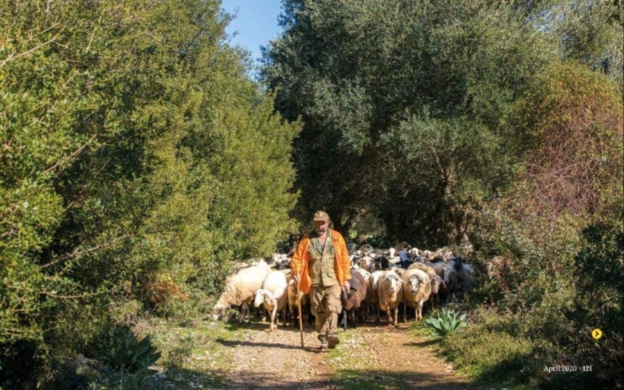 Η Κεφαλονιά και τα Πουλάτα, στο περιοδικό Traveller του National Geographic!