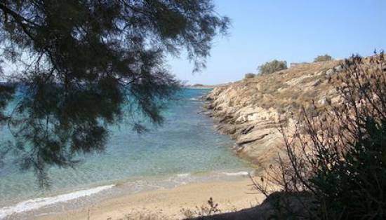 Ομολόγησε ο "δράκος" της Πάρου
