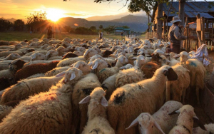 Ε.Α.Σ. : Η επιτυχία του νόμου θα κριθεί στη πράξη