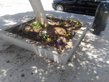 Φύτεψαν λουλούδια στο Ληξούρι για την Παγκόσμια Ημέρα Περιβάλλοντος
