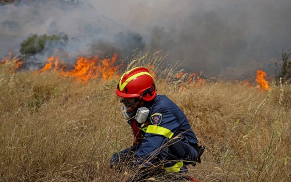 Φωτιά στα Καλλιγάτα - Την &#039;&#039;έπιασαν&#039;&#039; έγκαιρα οι πυροσβέστες