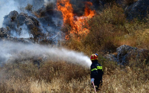 Υπό μερικό έλεγχο η πυρκαγιά στην Κουνόπετρα