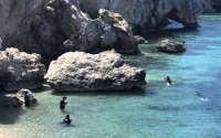 Διεθνής συνάντηση για την προστασία της μεσογειακής φώκιας στην Κεφαλονιά