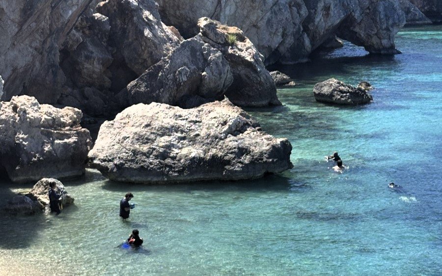Διεθνής συνάντηση για την προστασία της μεσογειακής φώκιας στην Κεφαλονιά