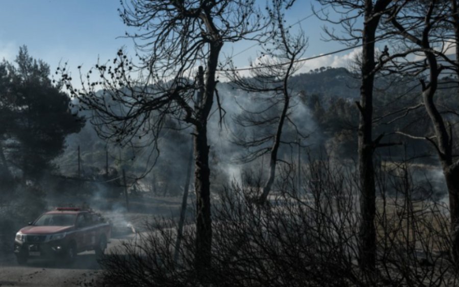 Φωτιά στα Γεράνεια Όρη: Η χειρότερη δασική πυρκαγιά τα τελευταία 10 χρόνια - Έκαψε 52.000 στρέμματα