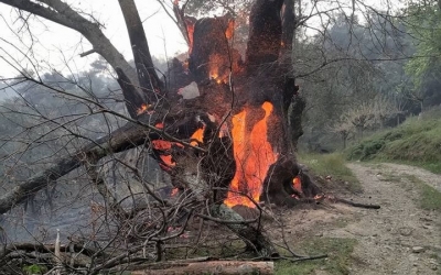 Τρελός καιρός στην Κρήτη - 30 βαθμοί θερμοκρασία, πυρκαγιές &amp; ισχυροί άνεμοι