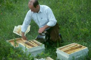 Παρέμβαση του Αγροτικού Συνεταιρισμού για τους ντόπιους Μελισσοκόμους