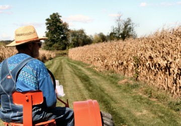 Πρόγραμμα LEADER : Xρηματοδότηση έργων σε περιοχές της Κεφαλονιας