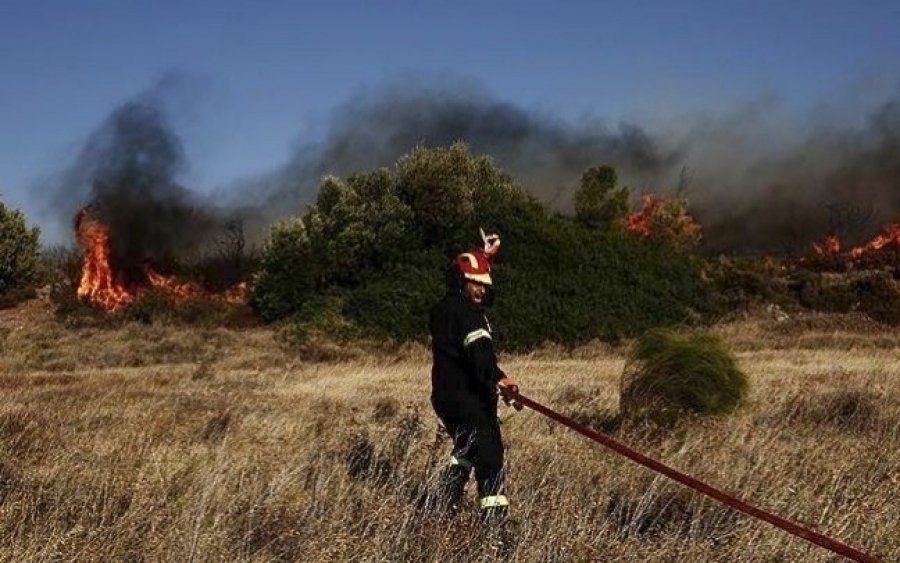 Απίστευτο! Μετά τα Κουρκουμελάτα και νέα εστία στην Κουνόπετρα!