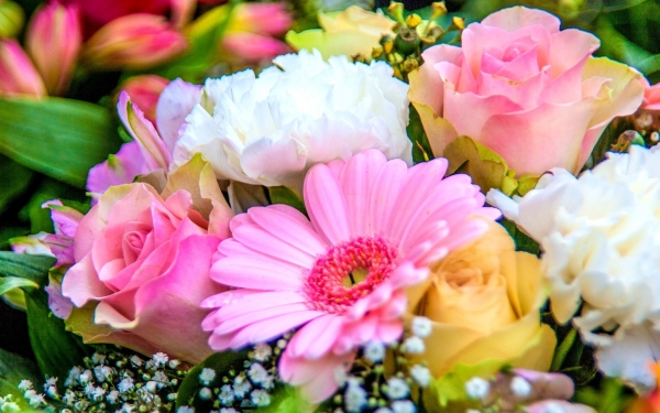 Ευχαριστήρια επιστολή απο τον "Υπερίωνα"