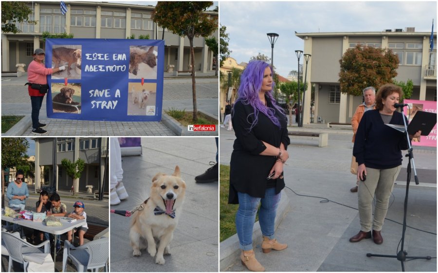 Ένα πολύ σπουδαίο μήνυμα στέλνει σήμερα το Αργοστόλι – «Σώσε και εσύ ένα αδέσποτο!»