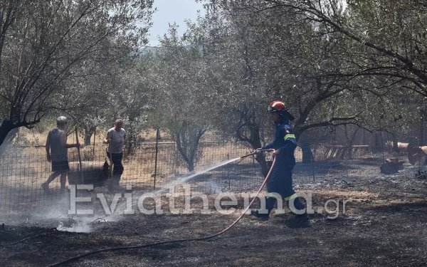 Φωτιά στην Εύβοια: Κάηκαν πάνω από 150 σπίτια και 20.000 στρέμματα γης – Εκκενώνονται 3 ακόμα οικισμοί