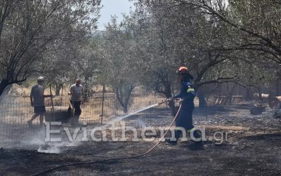 Φωτιά στην Εύβοια: Κάηκαν πάνω από 150 σπίτια και 20.000 στρέμματα γης – Εκκενώνονται 3 ακόμα οικισμοί