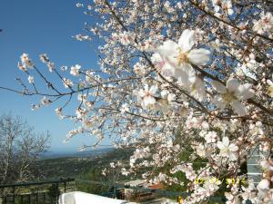 Άνοιξη στα Διλινάτα!