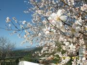 Άνοιξη στα Διλινάτα!